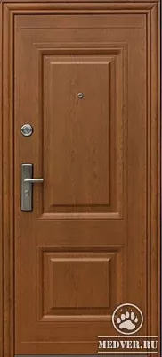 Квартирная дверь МДФ-49